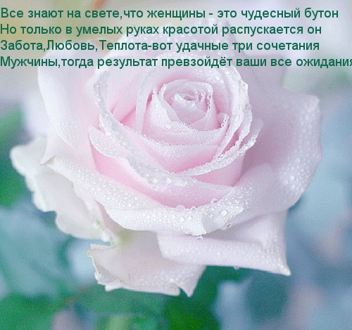 Все знают на свете,что женщины