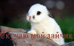 Скучаю мой зайчик