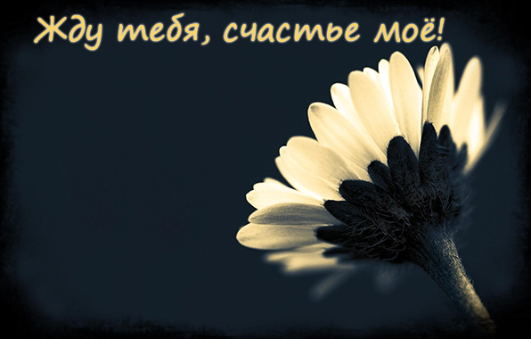 Жду тебя, счастье моё!