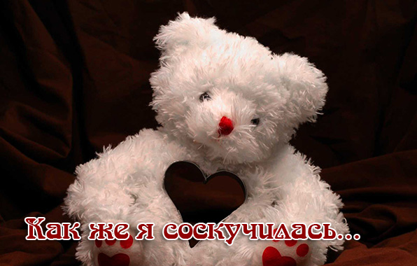 Как же я соскучилась..