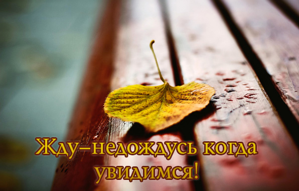 Жду — недождусь когда увидимся!
