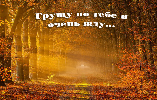 Грущу по тебе и очень жду..