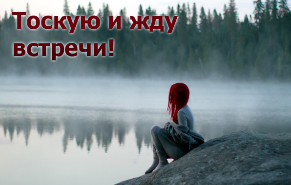 Картинки с надписями.  Тоскую и жду встречи!.