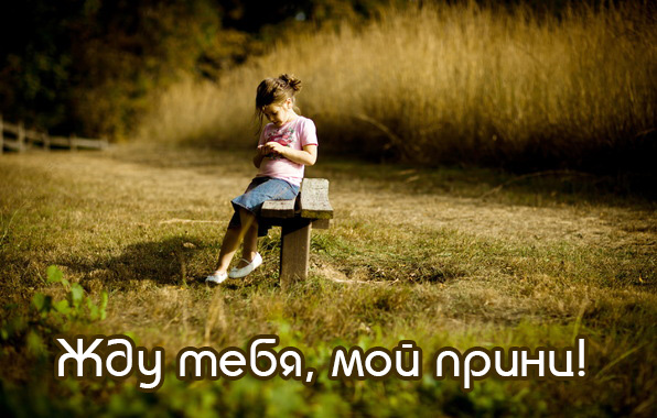 Жду тебя, мой принц!