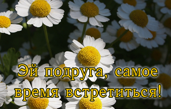 Эй подруга, самое время встретиться!