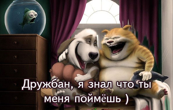 Дружбан, я знал что ты меня поймёшь