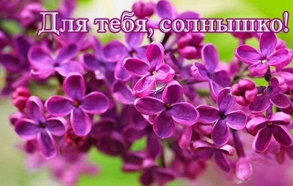 Для тебя, солнышко!