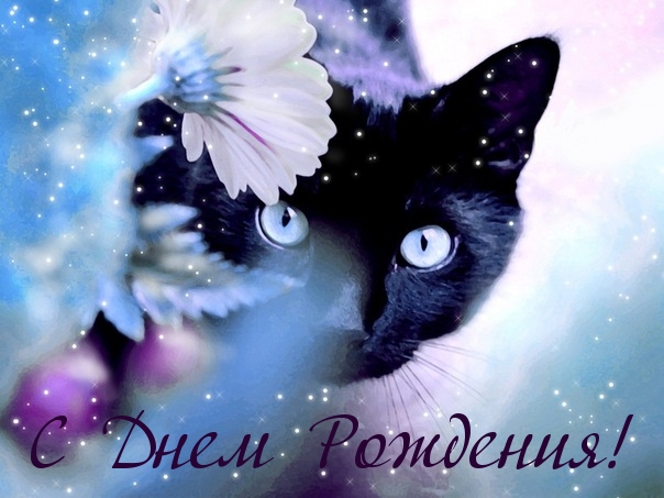 С Днем Рождения!