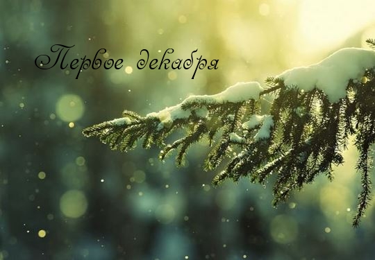Первое декабря