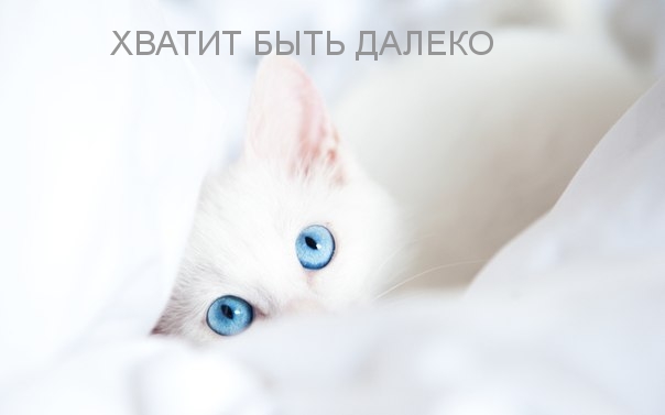 Хватит быть далеко