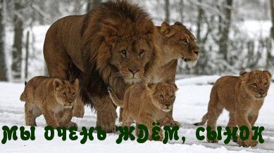 МЫ ОЧЕНЬ ЖДЁМ, СЫНОК