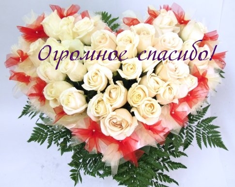 Огромное спасибо!