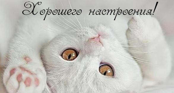 Хорошего настроения!