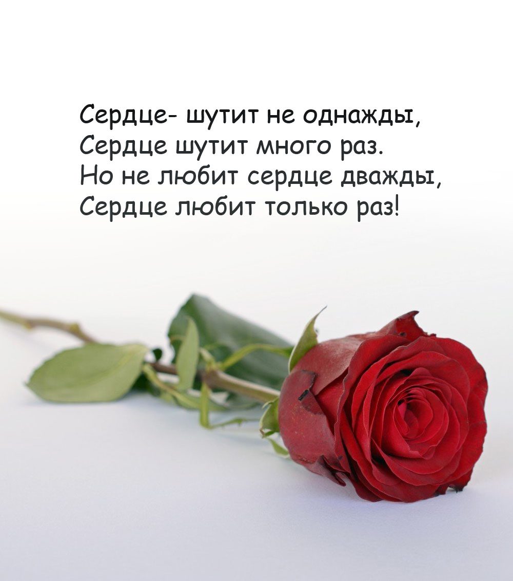 Сердце любит только раз