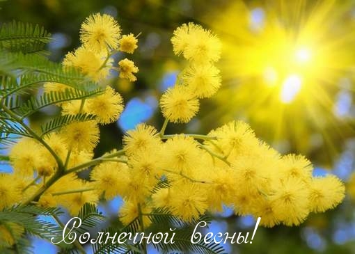 Солнечной весны!