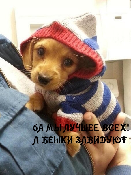 6А МЫ ЛУЧШЕЕ ВСЕХ!