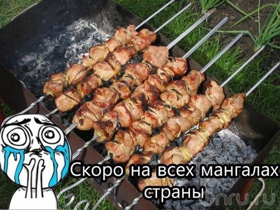 Скоро на всех мангалах страны