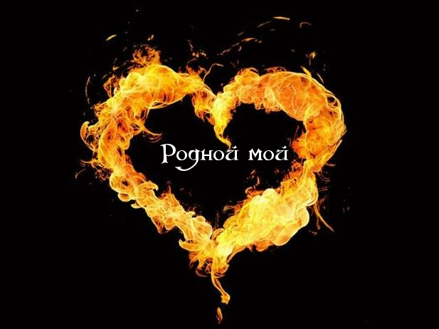 Родной мой