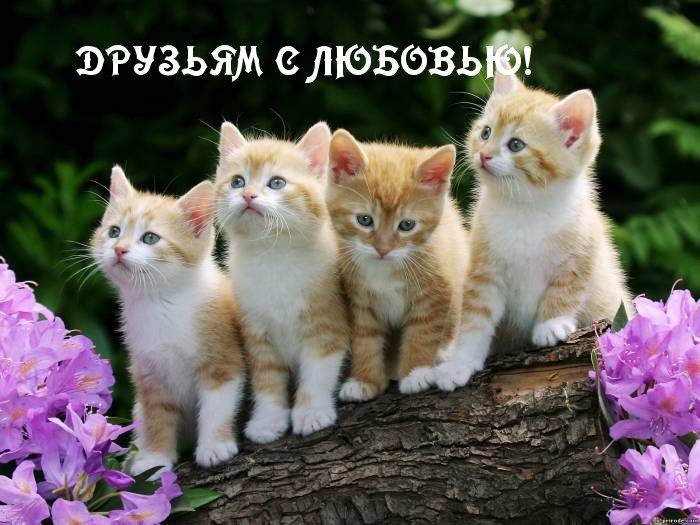 ДРУЗЬЯМ С ЛЮБОВЬЮ!