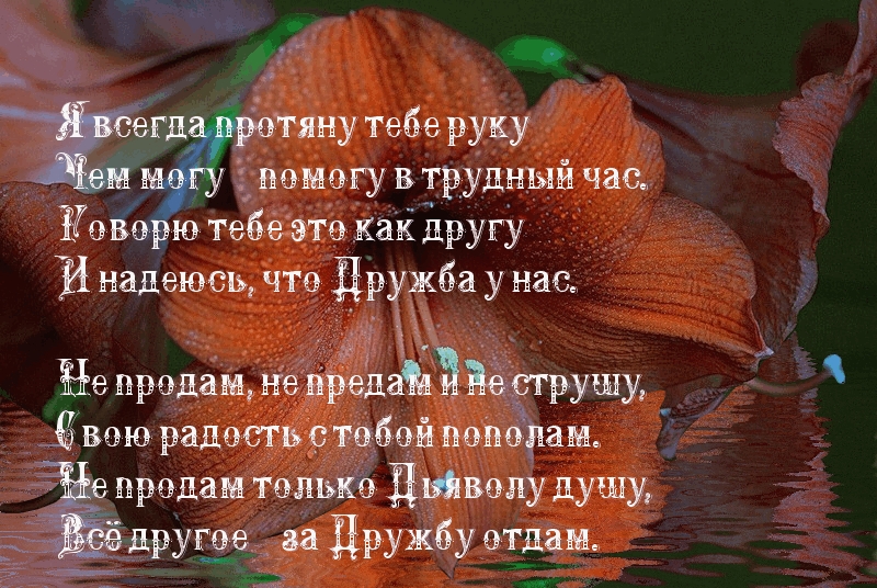 Я надеюсь, что Дружба у нас
