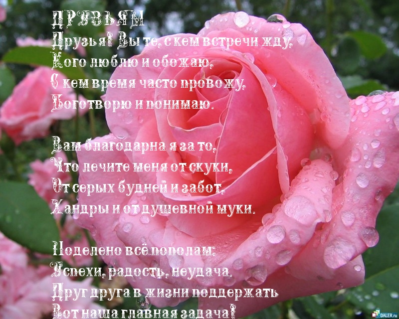 Друзья! Вы те, с кем встречи жду
