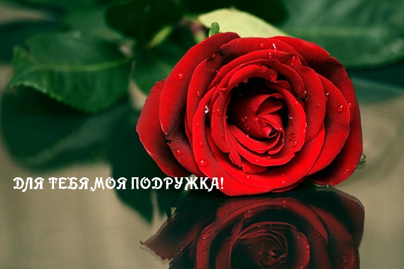 ДЛЯ ТЕБЯ,МОЯ ПОДРУЖКА