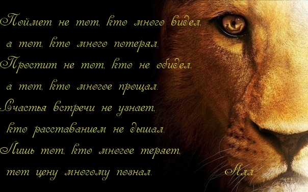 Поймет, простит и цену знает