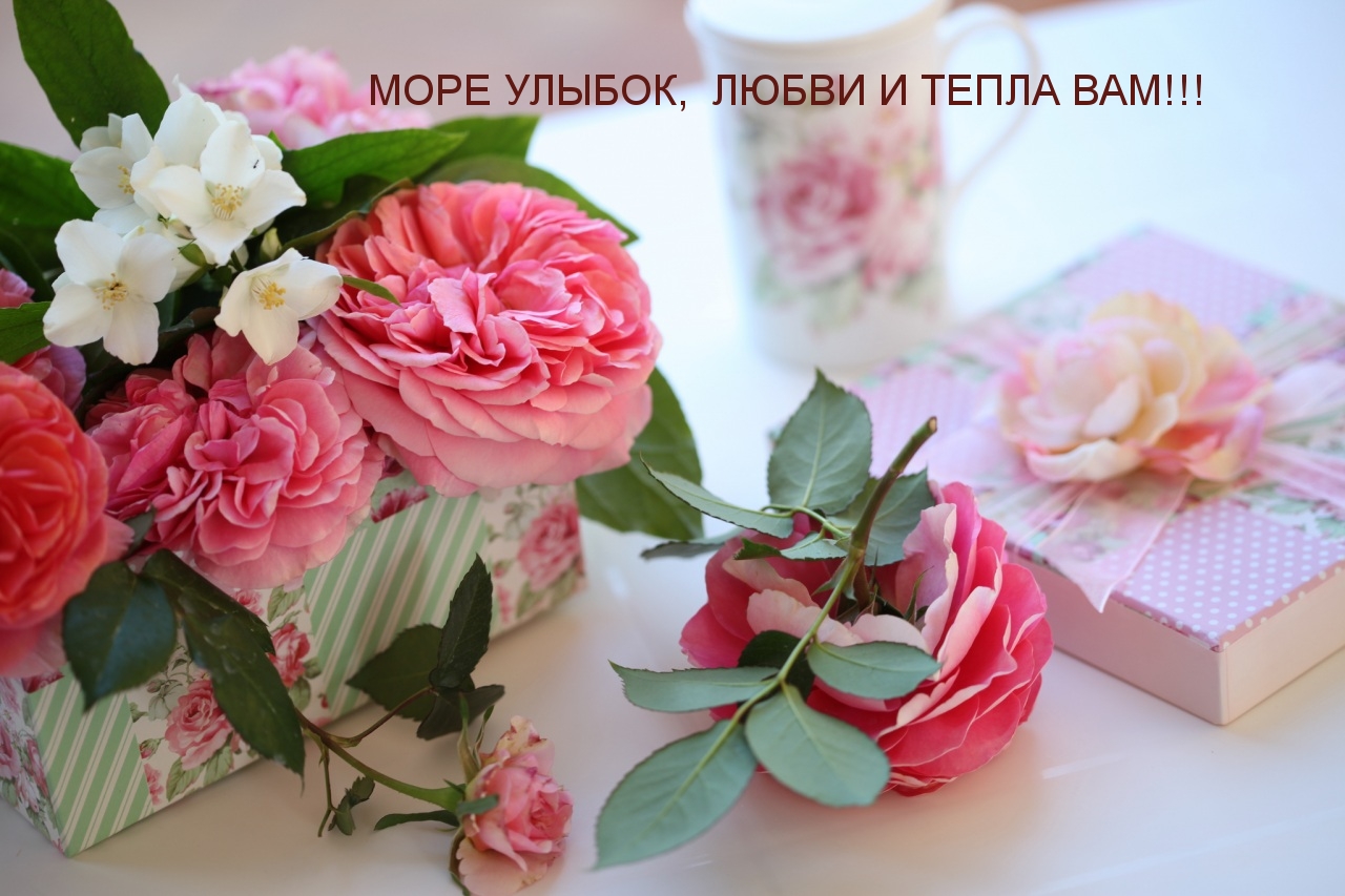 МОРЕ УЛЫБОК,  ЛЮБВИ И ТЕПЛА ВАМ!