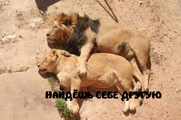 НАЙДЁШЬ СЕБЕ ДРУГУЮ