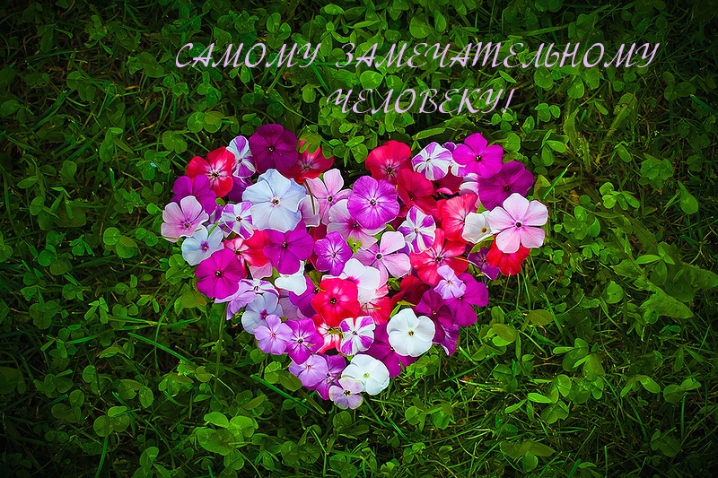 Самому замечательному человеку!
