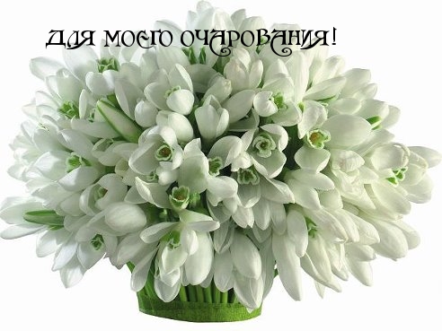 ДЛЯ МОЕГО ОЧАРОВАНИЯ!