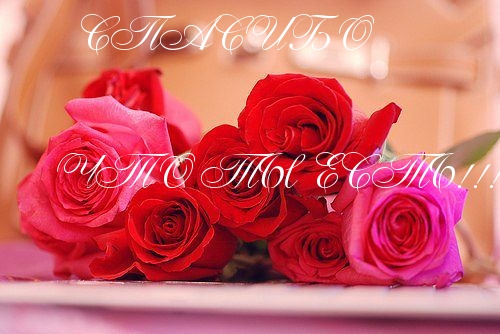 Спасибо, что ты есть