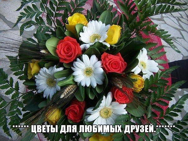 Для любимых друзей