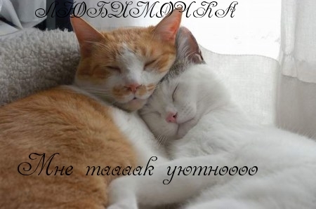 Мне так уютно…
