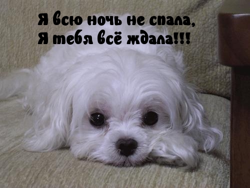 Ночь не спала, ждала..!