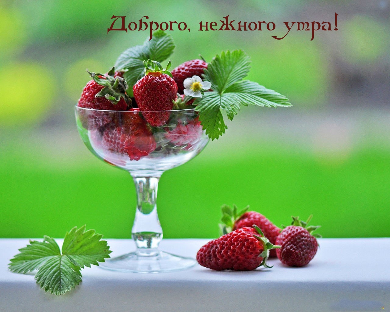 Доброго, нежного утра!