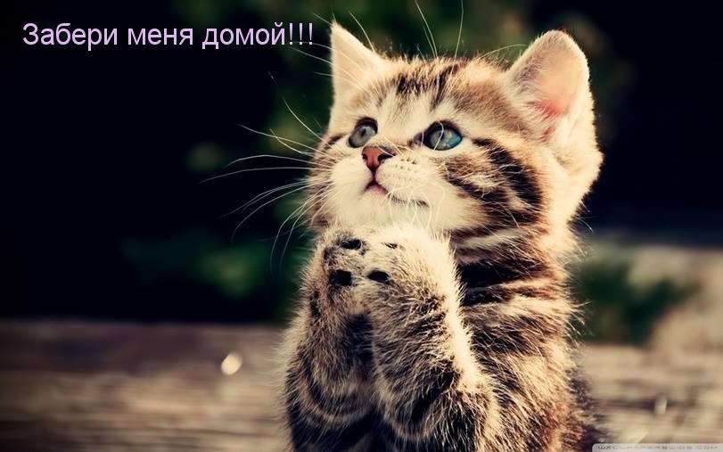 Забери меня домой!!!