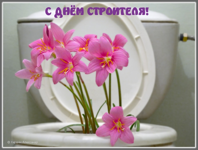 С ДНЁМ СТРОИТЕЛЯ!
