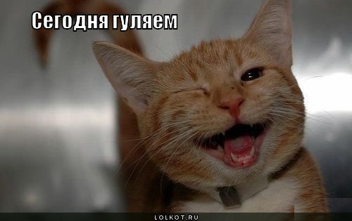 Сегодня гуляем!