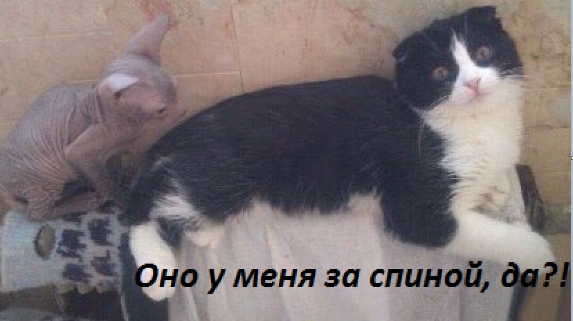 Оно у меня за спиной?