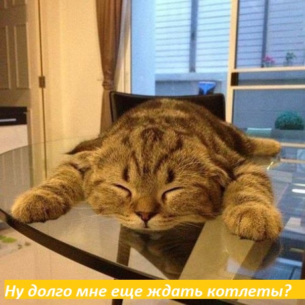 долго еще ждать котлеты?