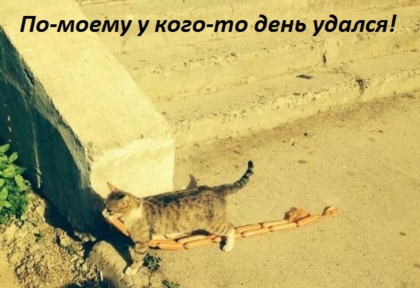 у кого-то день удался!