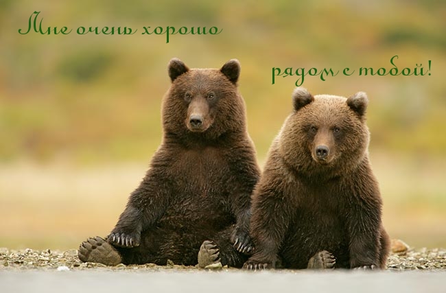 Мне очень хорошо рядом с тобой!