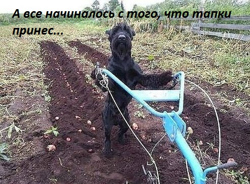 А всё начиналось с тапок…