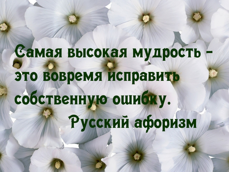 Вовремя исправляй ошибки!