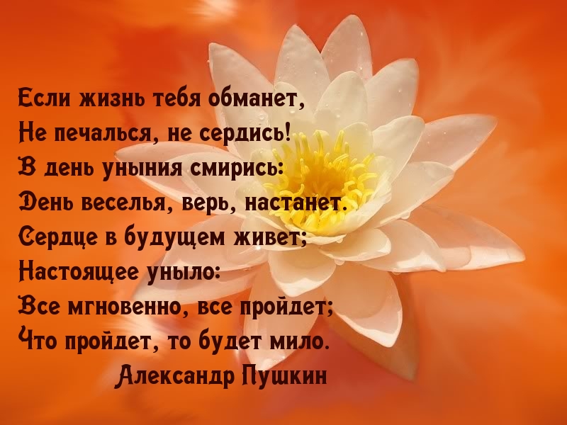 Не сердись на жизнь — веселье настанет!