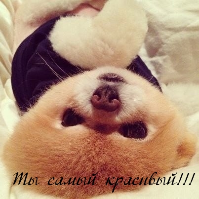 Ты самый красивый!!!