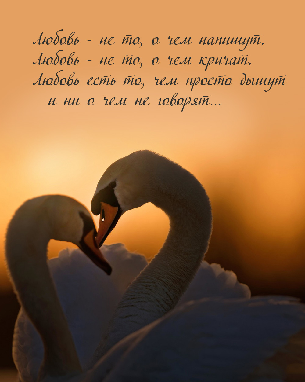 Любовью дышут