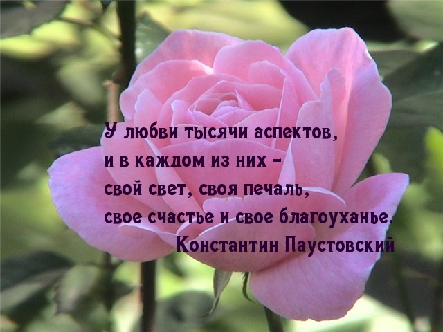 У любви тысячи аспектов