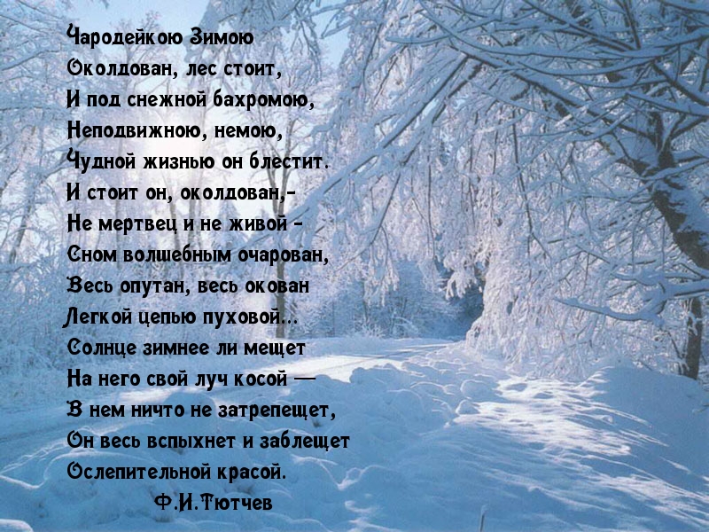 Чародейка Зима
